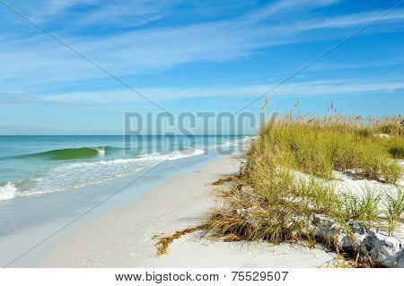Beautiful Florida Coastline