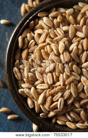 Organic Raw Farro Grain