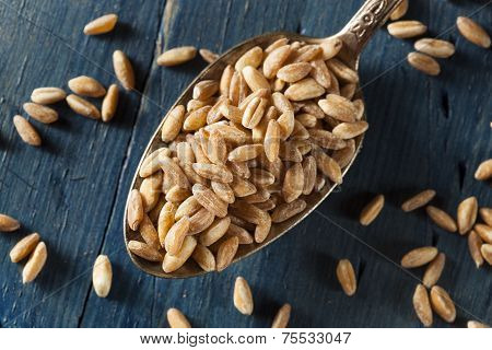 Organic Raw Farro Grain