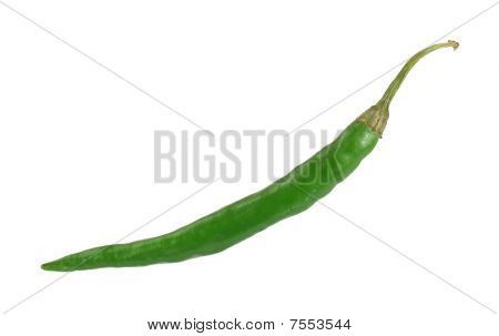 Single Long grüne Paprika