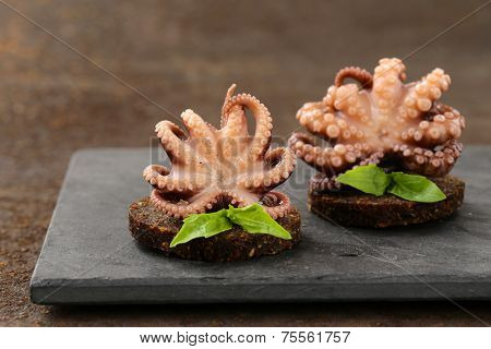 appetizer small marinated octopus (squid) with basil and olive oil