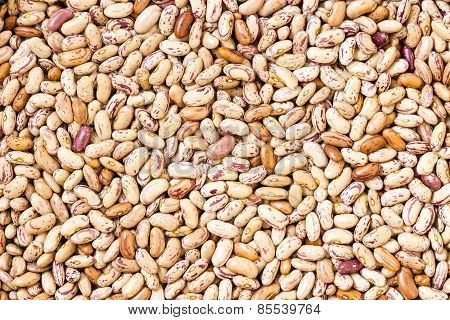 Coloured Rajma ~ Macro photograph of Dried White Kidney beans background