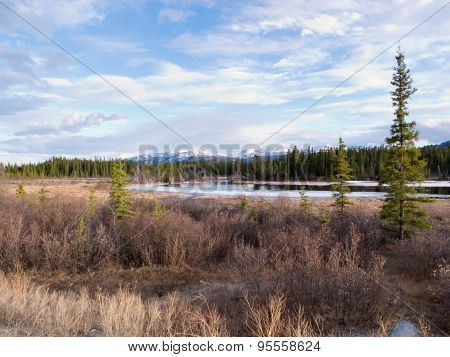 Yukon Taiga Wetland Marsh Spring Thaw Canada