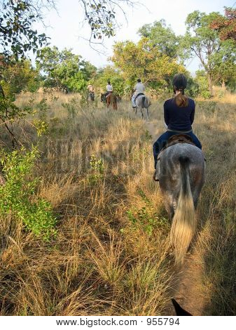 Ridning Safari