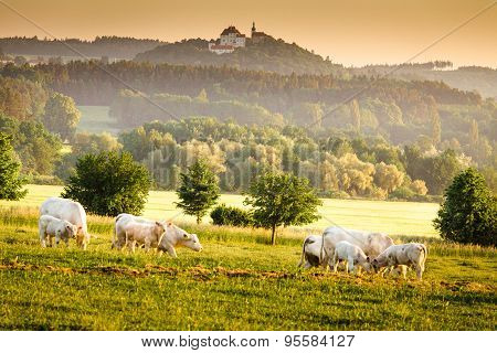 Bohemian Dawn Landscape