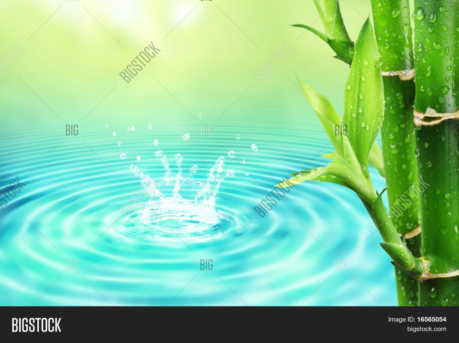 Fresh Bamboo Water Image & Photo (Free Trial) Bigstock