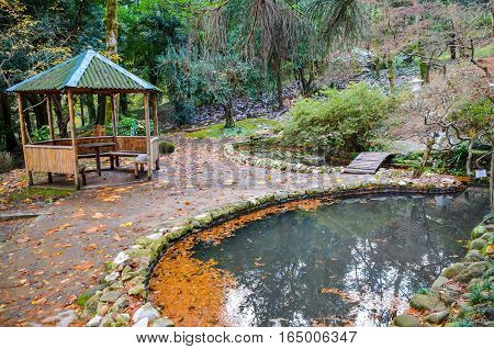 Japanese Courtyard In The Botanical Garden In Autumn. Batumi.