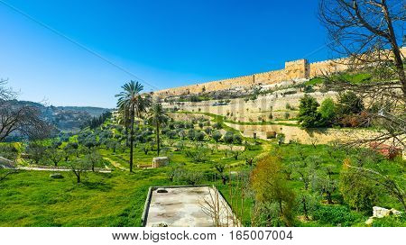 The Walls Of Jerusalem From The Kidron Valley