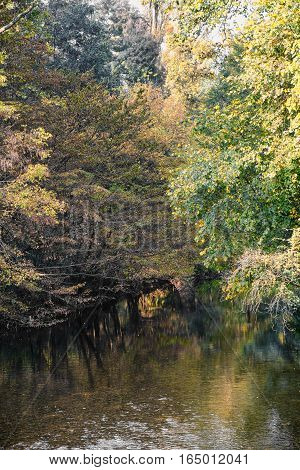 Monza (Brianza Lombardy Italy): the Lambro river in the park at fall (october)