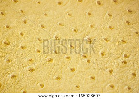 Texture of genuine Ostrich Stamped leather close-up, trend, exotic background