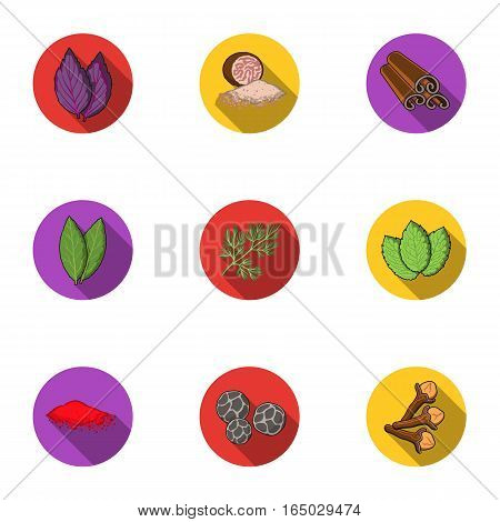 Herb and spices set icons in flat style. Big collection of herb and spices vector symbol stock