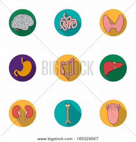 Human organs set icons in flat design. Big collection of human organs vector symbol stock illustration
