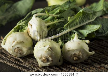 Raw Organic Green Kohlrabi