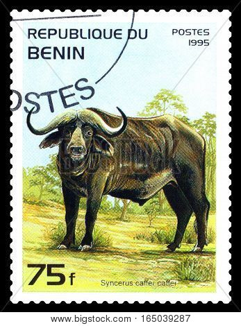 STAVROPOL RUSSIA - January 09 2017 : A Stamp sheet printed in Benin shows Syncerus caffer caffer (African buffalo) circa 1995