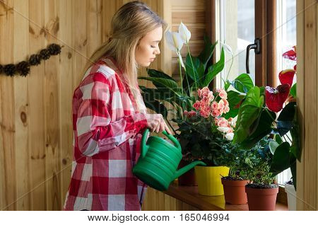 Happy young woman watering plant using sprinkling can, smiling.
