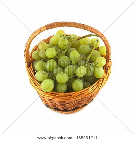 Green grape bunch with green berries in small brown handmade wicker basket isolated over white close up