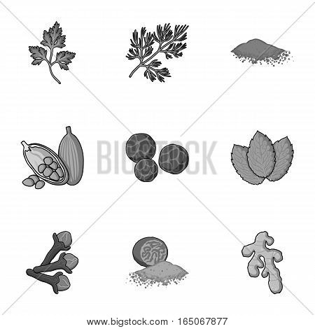 Herb and spices set icons in monochrome style. Big collection of herb and spices vector symbol stock