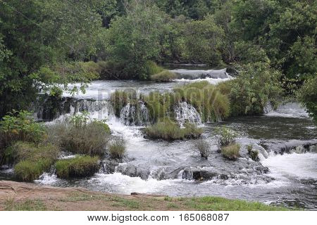 White Water Rafting in Jungle and Rapids