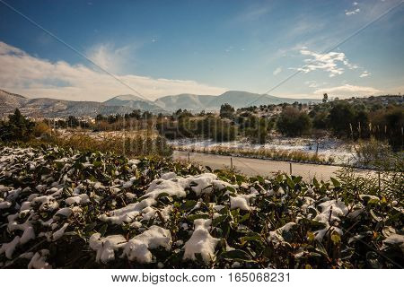 Snowy Landscape In Athens - Rare And Unique Event