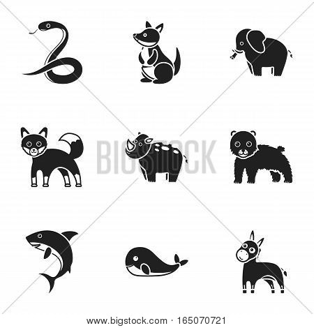 Animals set icons in black style. Big collection of animals vector symbol stock
