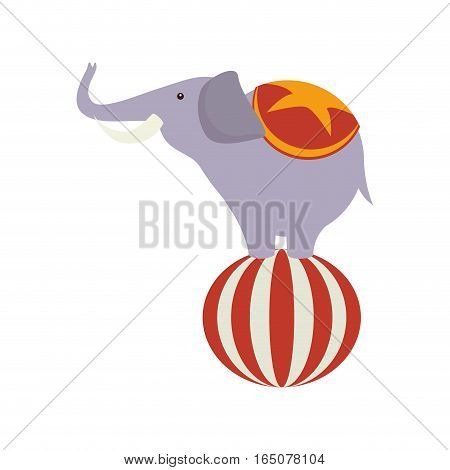 funny elephant circus icon vector illustration design