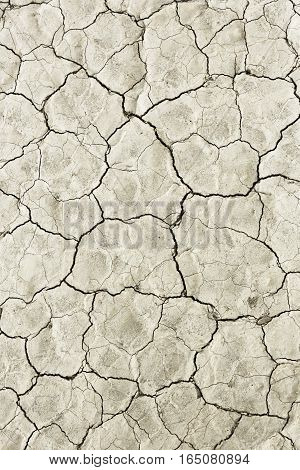 Close Up Of Cracked Mud In Neutral Light, Ideal For Textures