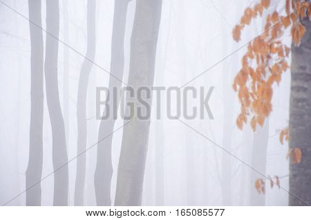 Sunny autum day on the water Background Landscape
