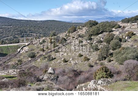 Mediterranean vegetation at Guadarrama Mountains, Madrid, Spain. It is a mountain range forming the main eastern section of the Sistema Central the system of mountain ranges at the centre of the Iberian Peninsula