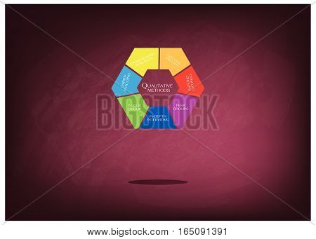 Business and Marketing or Social Research Process Variety Type of Data Collection Methods in Qualitative Measurement Chalkboard..