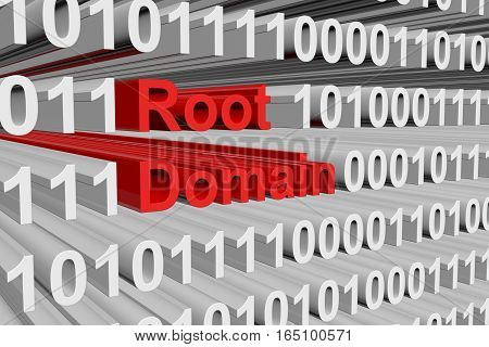 root domain is represented as a binary code 3d illustration