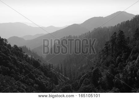 View from Isharu Annapurna Conservation Area Nepal. Mountain ranges covered by forest.