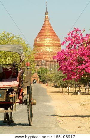 Dhammayazika temple at the archaeological site of Bagan on Myanmar