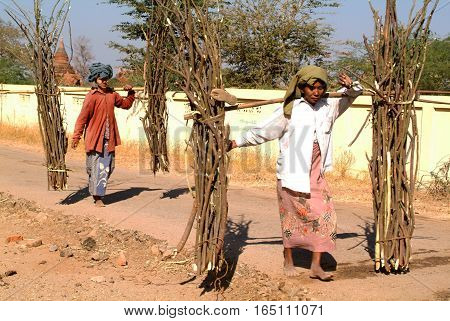 Minnanthu Myanmar - 24 January 2010: Woman carrying wood at the village of Minnanthu on the archaeological site of Bagan on Myanmar