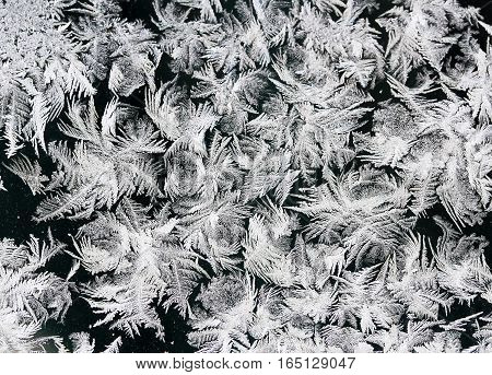 intricate beautiful frosty pattern on winter glass
