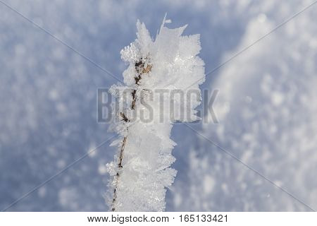 large openwork of frost crystals of frost on blurred natural snow background