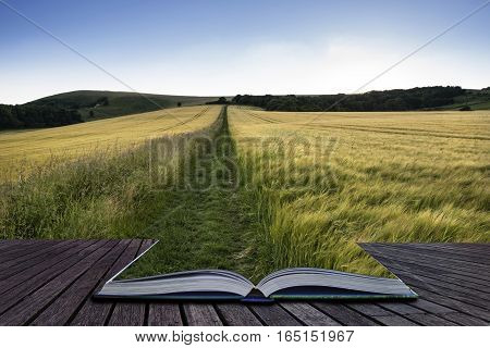 Beautiful Landscape Of Golden Sunset Across Field Of Barley In Summer Coming Out Of Pages Of Book