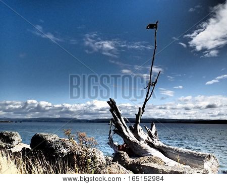A flagpole made of driftwood lines the bay.