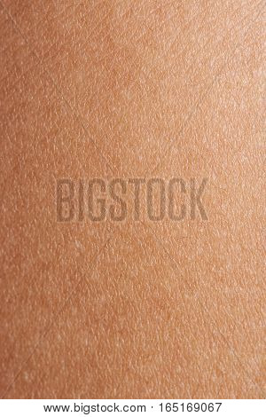 Dark brown human skin surface closeup. Texture of woman skin