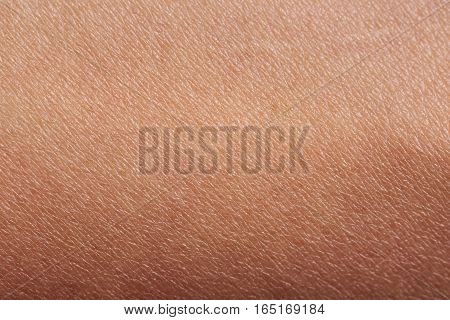 Pattern of human dark skin with cells and lines texture