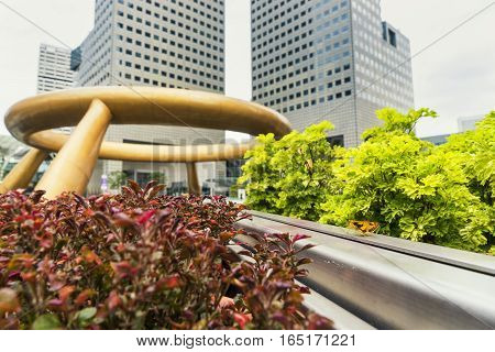 butterfly in small garden of Fountain of Wealth singapore - can use to display or montage on product