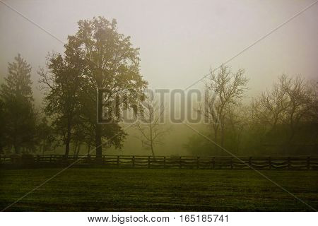 Rural Village Scenery In Morning Fog