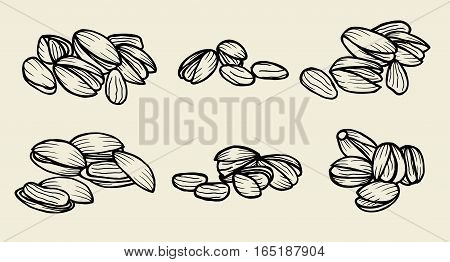 Monochrome Pistachios. Isolated whole and split pistachio nuts and kernels. Vector sketch pistachio element for product label, packaging sticker, grocery shop tag, farm store