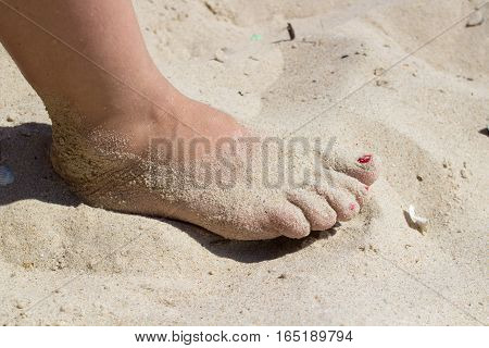 one leg standing on the sand on the beach
