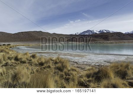 Colorado Lagoon Salt Lake in Bolivia, South America