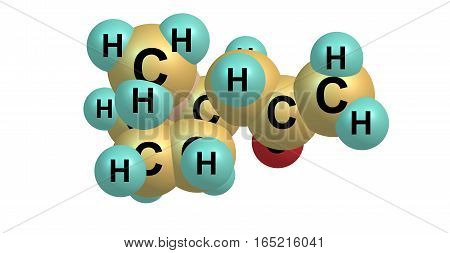 Hygrine is a pyrrolidine alkaloid found in coca. Hygrine usually occurs along with other more potent alkaloids such as atropine or cocaine. 3d illustration
