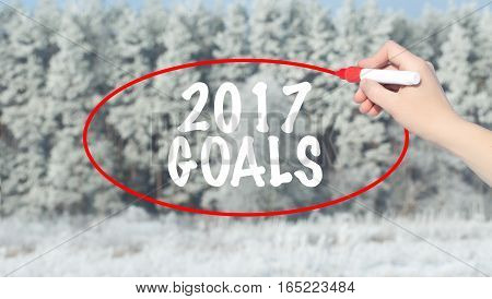 Woman Hand Writing 2017 Goals With Marker Over Winter Forest.