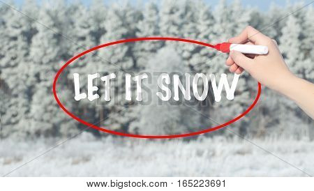Woman Hand Writing Let It Snow With Marker Over Forest.