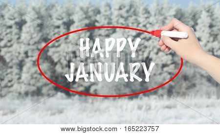 Woman Hand Writing Happy January With Marker Over Winter Forest.