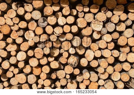 Arranged Firewood stack, background, texture, wood - stock photo