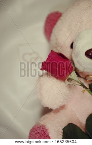 Red roses are the symbol of love.on celebrety